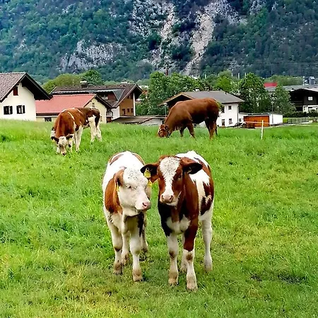 Come In Buch bei Jenbach Exterior photo