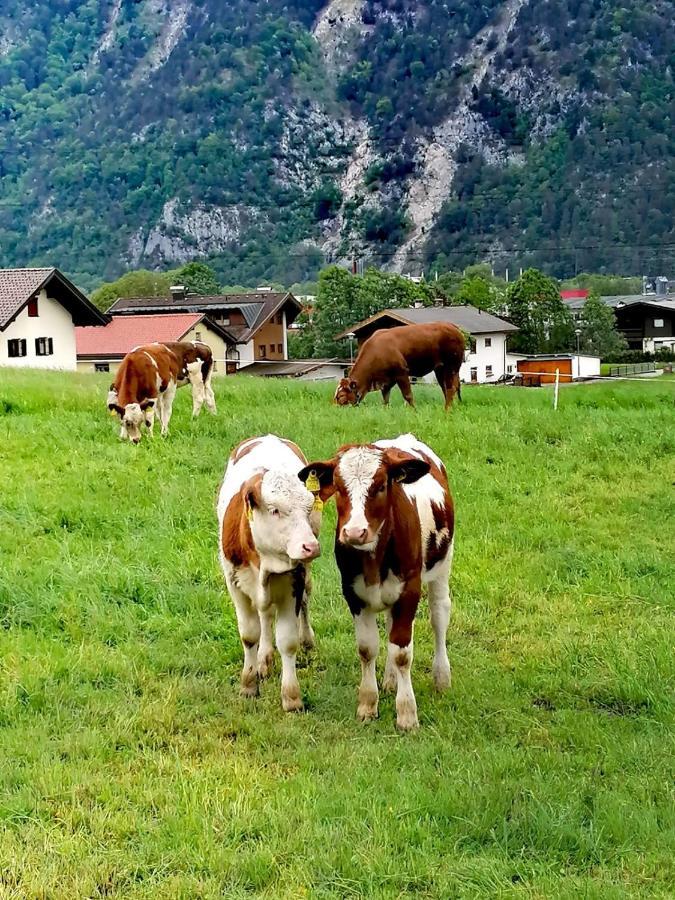 In * Buch bei Jenbach