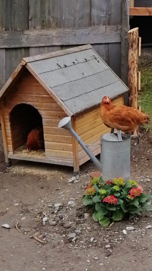 Appartement In